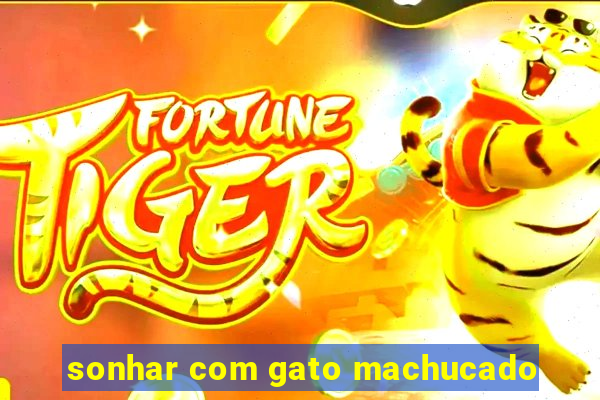 sonhar com gato machucado